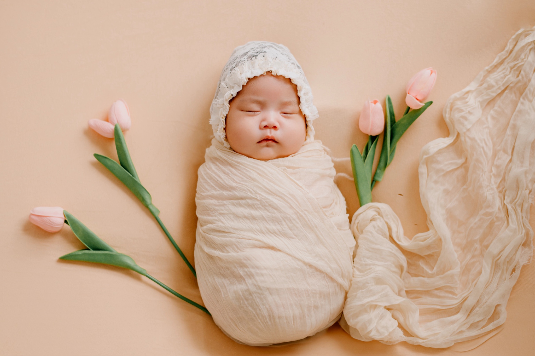 Newborn Will House Studio